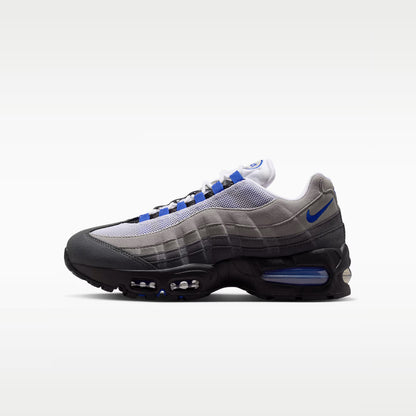 Grey / Blue