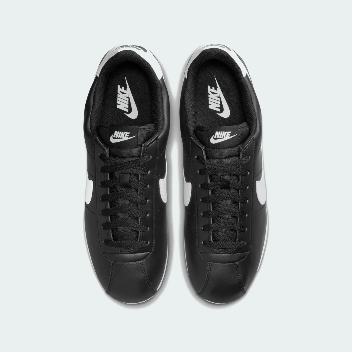 Black / White